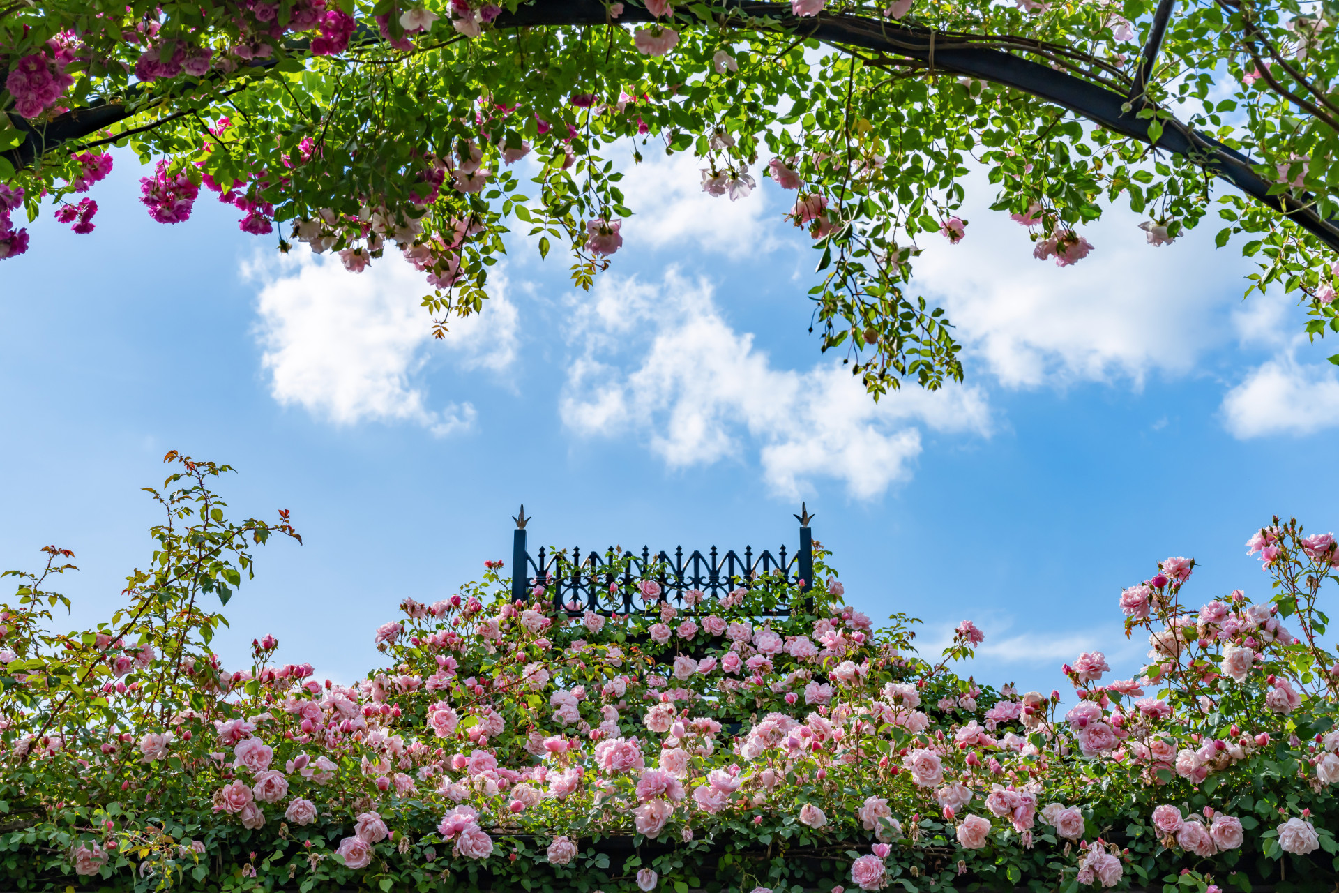 TZテストタイトルTZテストタイトルTZテストタイトルTZテストタイトルTZテストタイトルTZテストタイトルTZテストタイトルTZテストタイトルTZテストタイトル